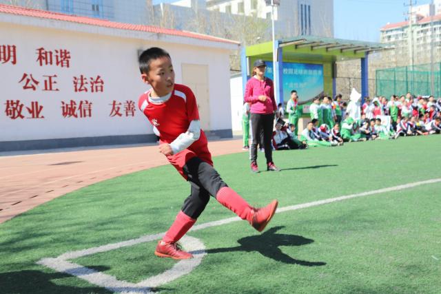 国乒亚运参赛阵容正式公布，王艺迪与陈幸同被意外排除，年轻选手范姝涵获机会