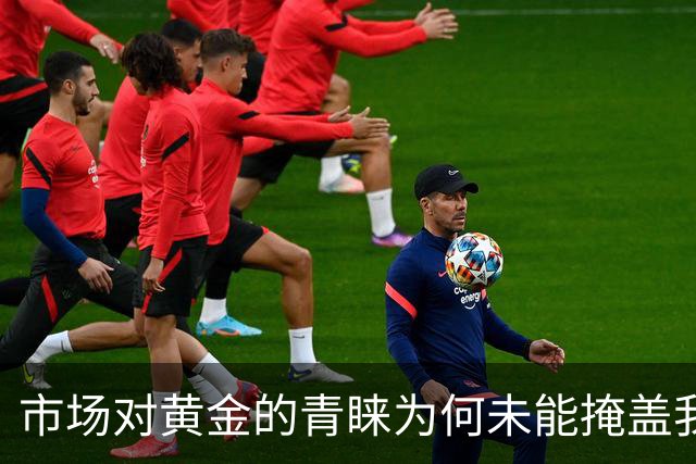 市场对黄金的青睐为何未能掩盖我对其看空的坚持？